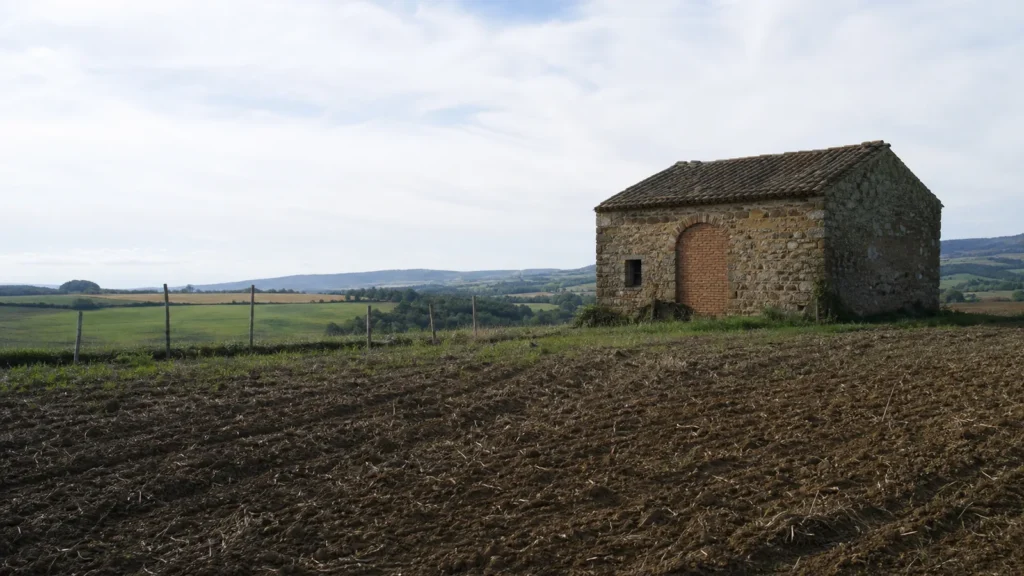 Annesso agricolo in pietra con arco tamponato in un'area coltivata